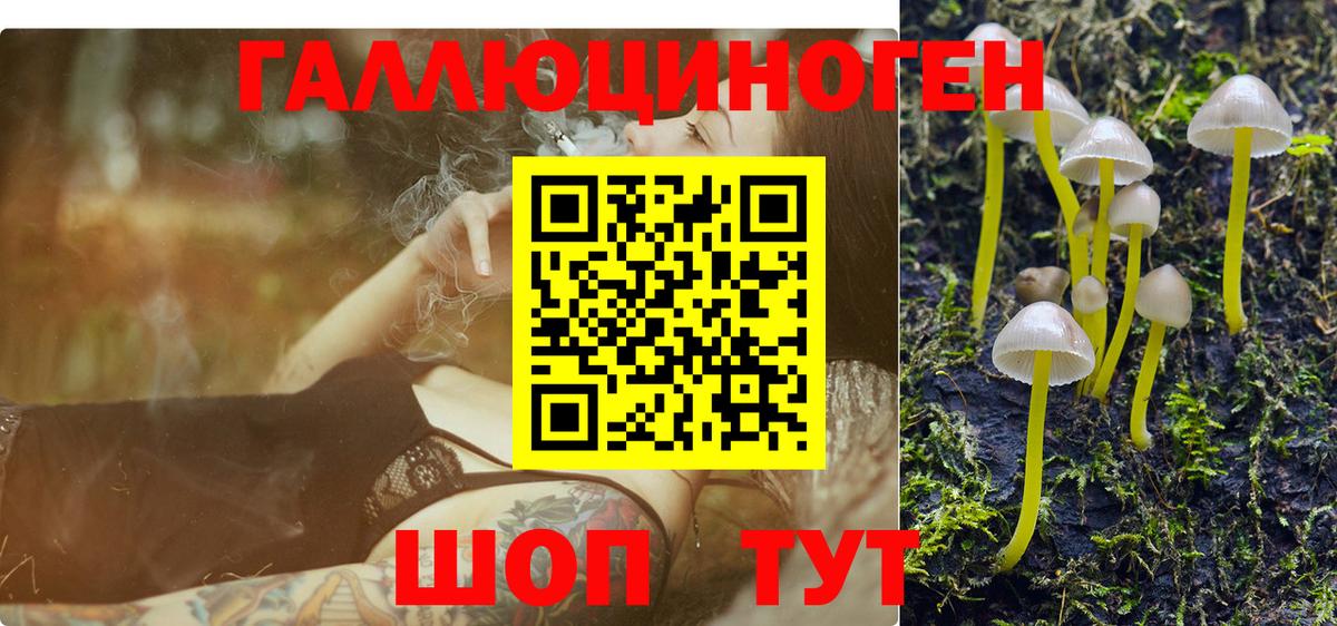 Арсеньев  Галлюциногенные грибы ЛСД  Вход с VPN  Псилоцибиновые грибы MAGIC MUSHROOMS 