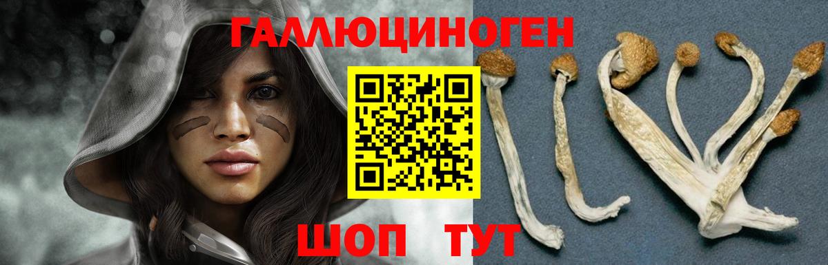 Псилоцибиновые грибы Magic Shrooms Арсеньев